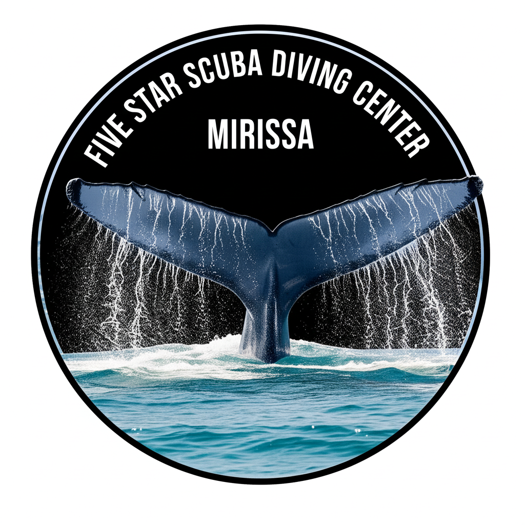 Five Star Scuba Diving Center
